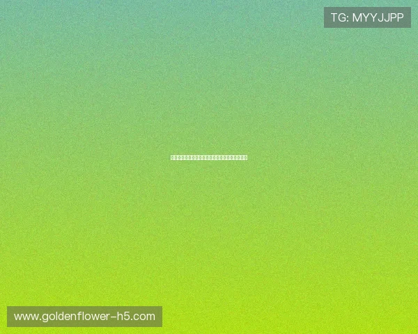 广州马拉松赛事精彩回顾及参赛者心路历程全解析